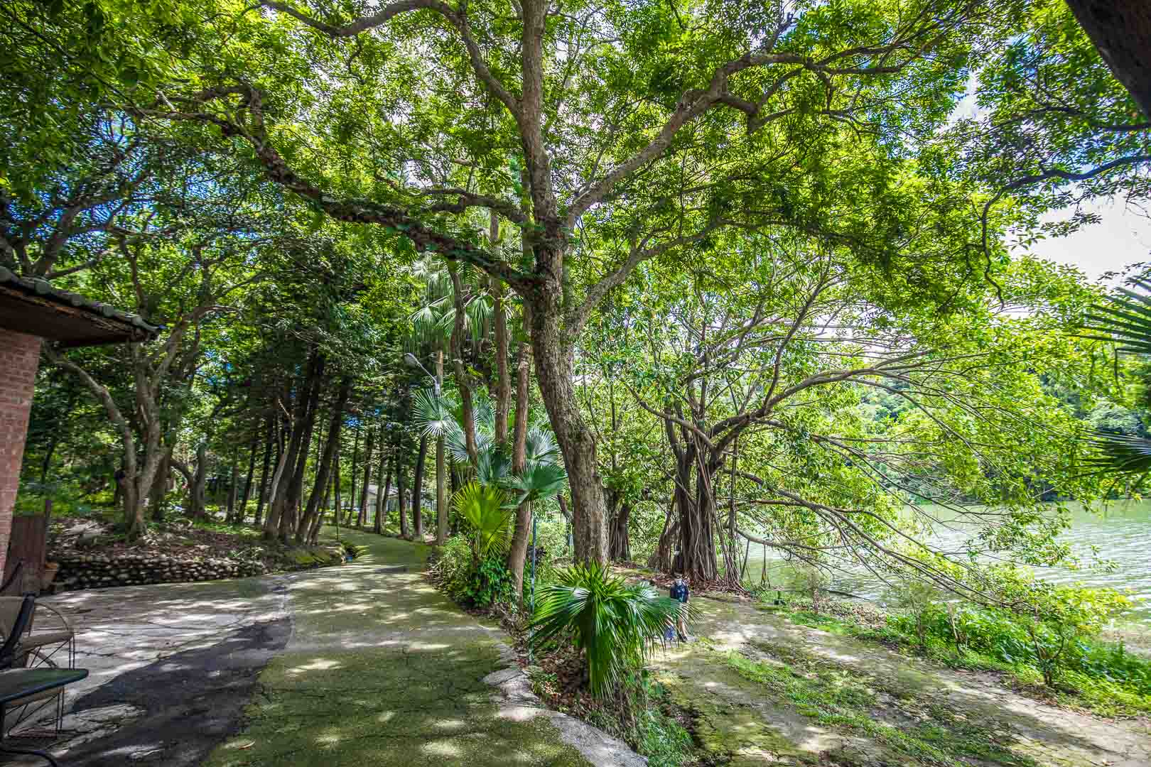 新竹景點,新竹景觀咖啡,新竹寵物友善餐廳,寶山水庫咖啡廳,漣漪書屋,沙湖壢咖啡館,寶山水庫美食,新竹美食,新竹咖啡廳