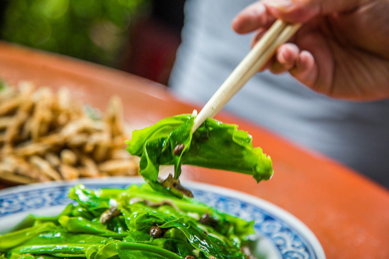 陽明山土雞,陽明山竹子湖美食推薦這家山園野菜餐廳，到竹子湖健走順便吃雞要去哪家?之前發現有一家森林系的山園野菜餐廳不錯，山園野菜餐廳實在是個酷地方，竟然是在森林裡用餐，一整個就是貼近大自然啊，難怪用餐時段直接被擠爆，人氣跟對面的青菜園有的尬！