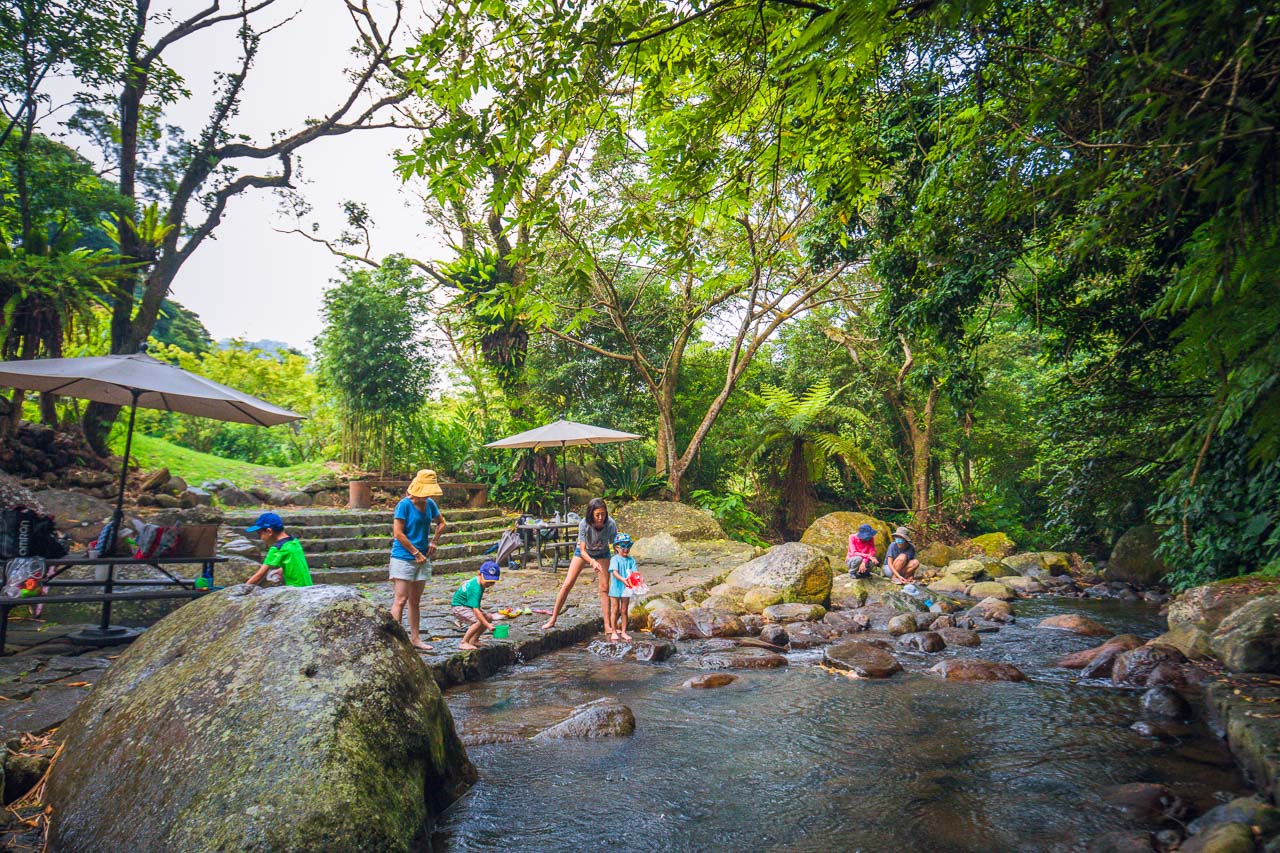 陽明山美食,陽明山土雞,竹子湖土雞,陽明山土雞推薦,陽明山土雞懶人包