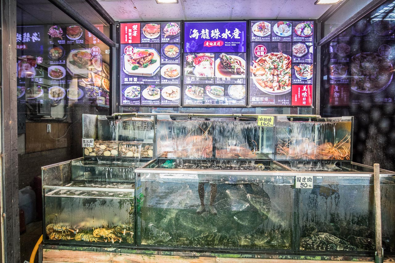 基隆海龍珠海鮮餐廳,基隆海鮮餐廳,海龍珠水產,基隆活海鮮,基隆美食,基隆海鮮推薦,基隆聚餐,基隆現撈海鮮,基隆平價海鮮,基隆便宜海鮮,海龍珠海鮮餐廳