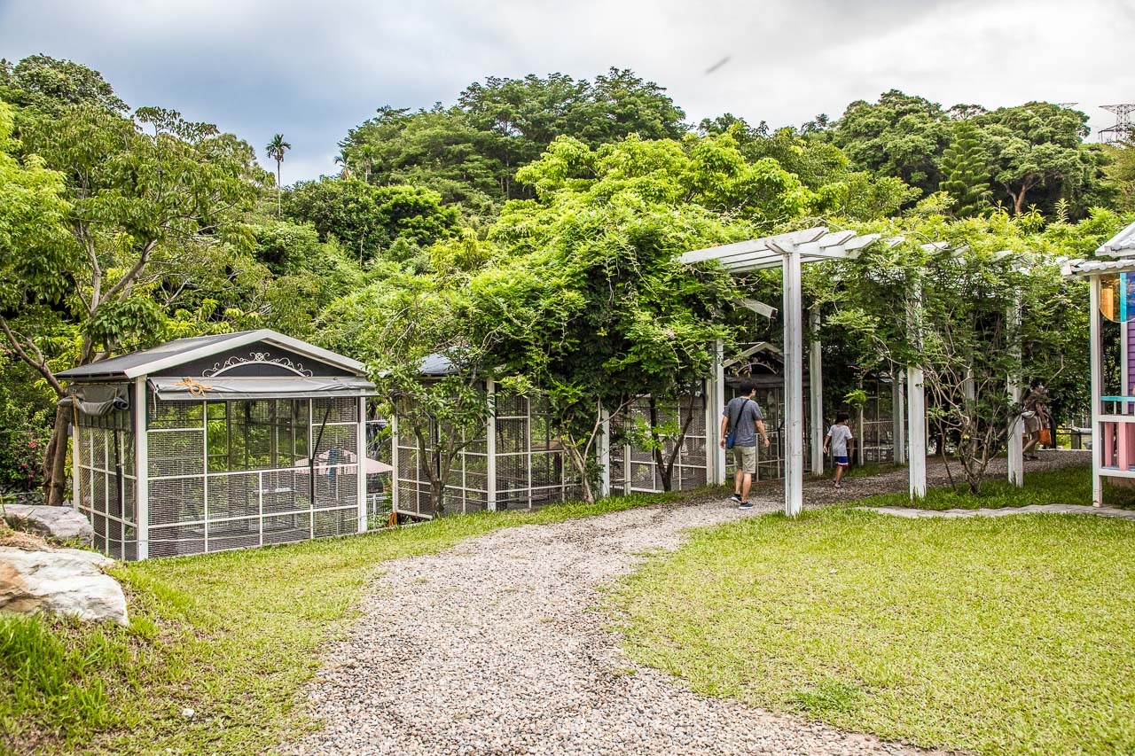 大溪蘇家莊園,桃園美食,桃園景點,大溪景點,大溪美食,桃園親子景點,蘇家莊園,大溪看動物,大溪親子景點,桃園動物景點
