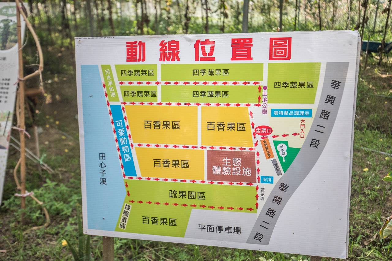 桃園親子,桃園農場