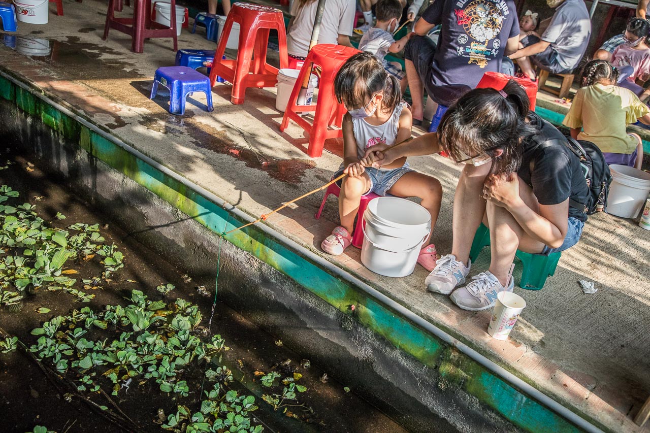 桃園親子,桃園農場