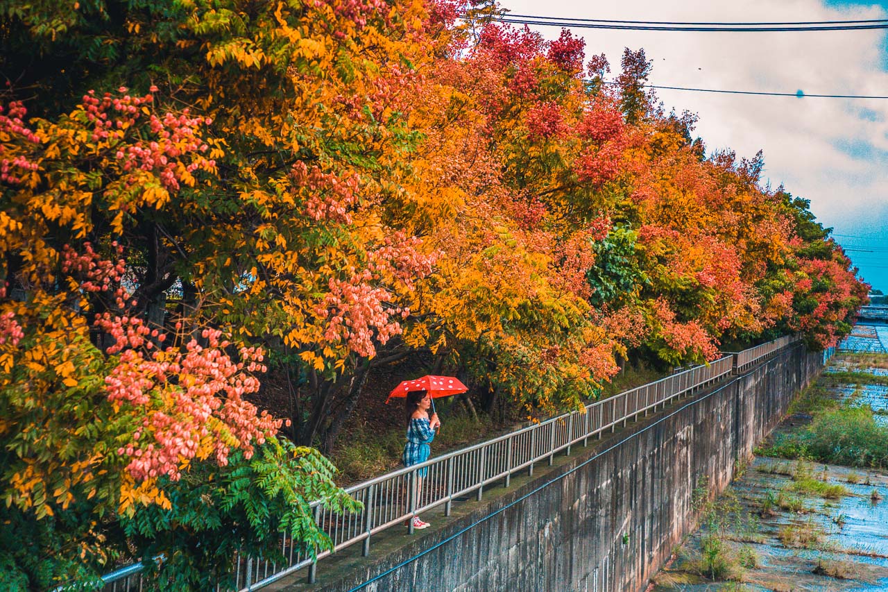 台中景點,清水米粉寮大排水溝