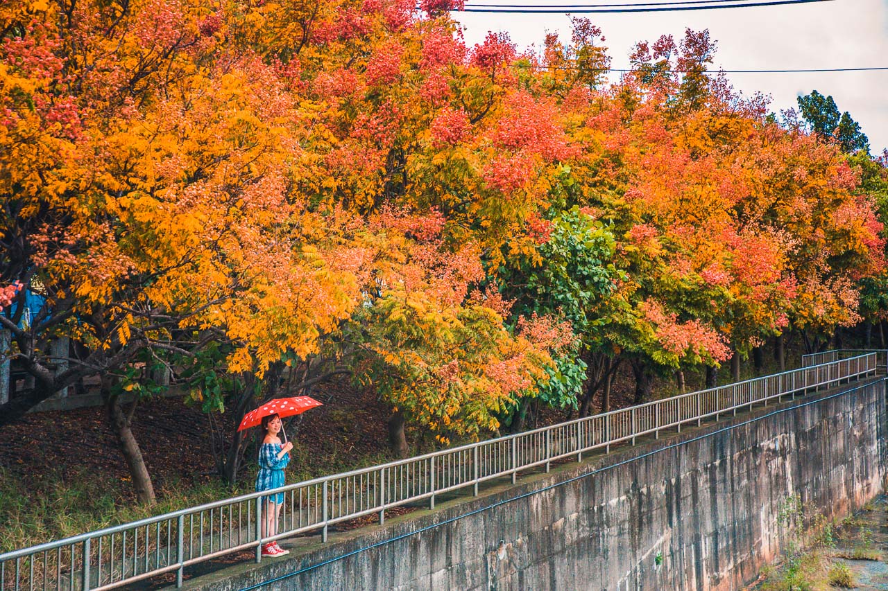 台中景點,清水米粉寮大排水溝