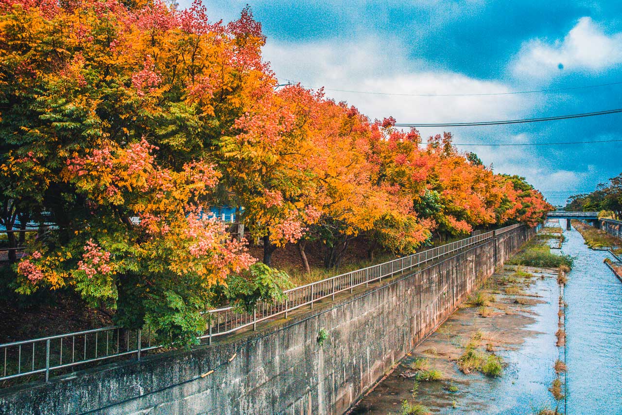 台中景點,清水米粉寮大排水溝