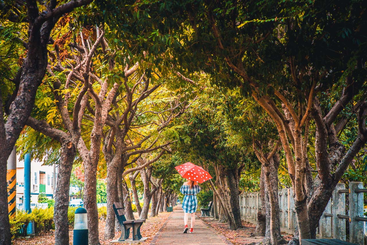 台中景點,清水米粉寮大排水溝