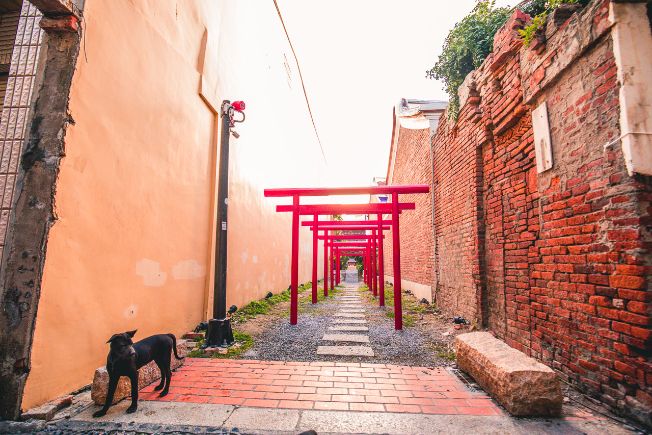 彰化景點,鹿港景點,彰化拍照景點,鹿港拍照景點,鹿港IG,鹿港神社,蛙港神社
