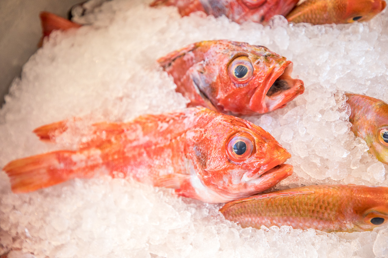 墾丁美食,阿興生魚片