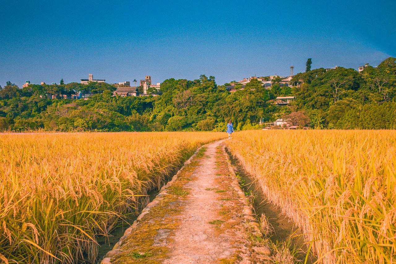 桃園美食,桃園景點,大溪景點,大溪網美景點,大溪老街,大溪順時埔彩繪村,順時埔彩繪村,大溪彩繪村