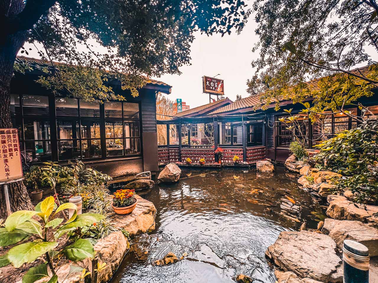 桃園大白鯊海產,大白鯊海產,桃園美食,桃園聚餐,桃園快炒,桃園熱炒,桃園春酒 @大手牽小手。玩樂趣