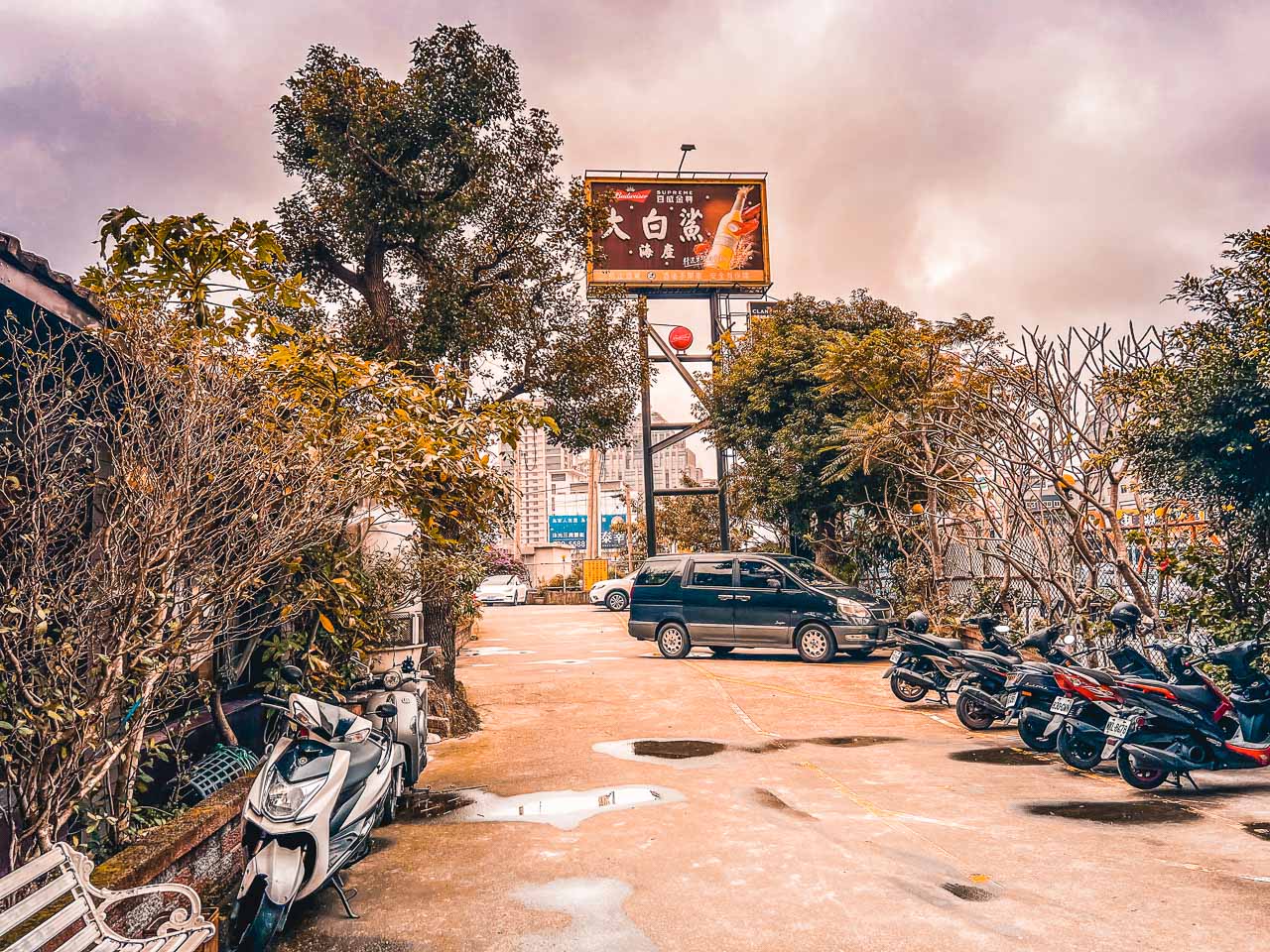 桃園快炒,大白鯊海產