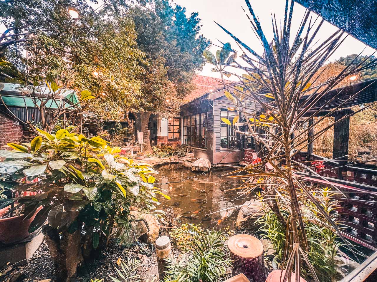 桃園快炒,大白鯊海產