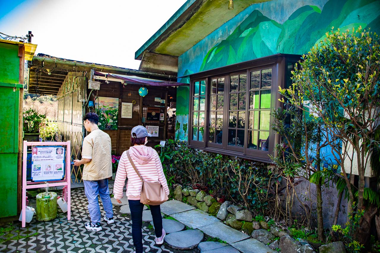 2023陽明山海芋花季,財福海芋田,陽明山海芋推薦,陽明山海芋季