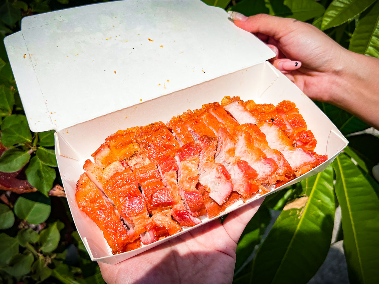 台南烤乳豬,台南脆皮烤豬,阿英越南烤乳豬,台南佳里烤乳豬,台南美食