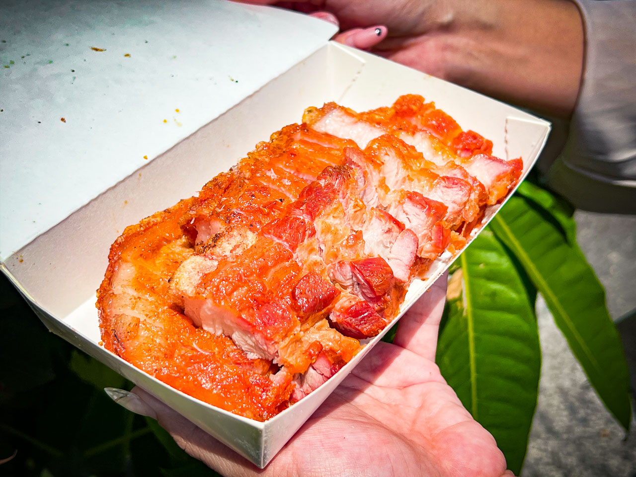 台南烤乳豬,台南脆皮烤豬,阿英越南烤乳豬,台南佳里烤乳豬,台南美食