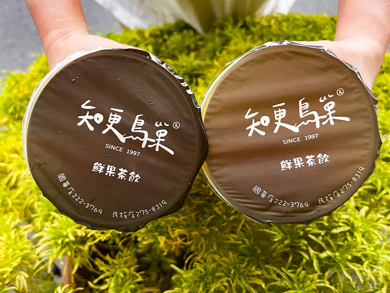 嘉義美食,嘉義小吃,嘉義飲料,嘉義葡萄柚綠茶,嘉義手搖飲,知更鳥巢鮮果茶飲,嘉義御香屋