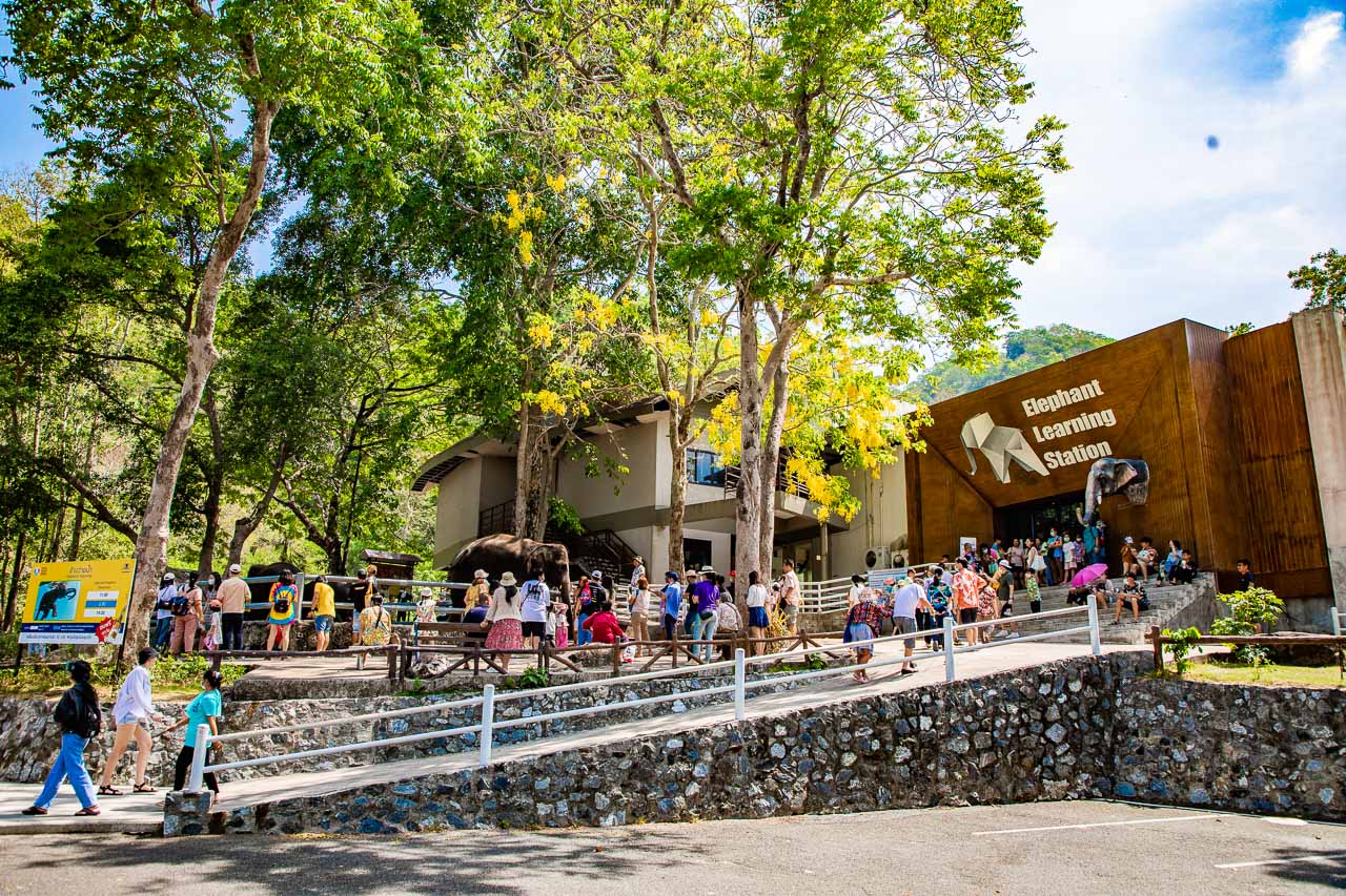 泰國野生動物園,芭達雅景點,芭達雅野生動物園,芭達雅景點綠山動物園,綠山野生動物園,泰國動物園,泰國親子景點