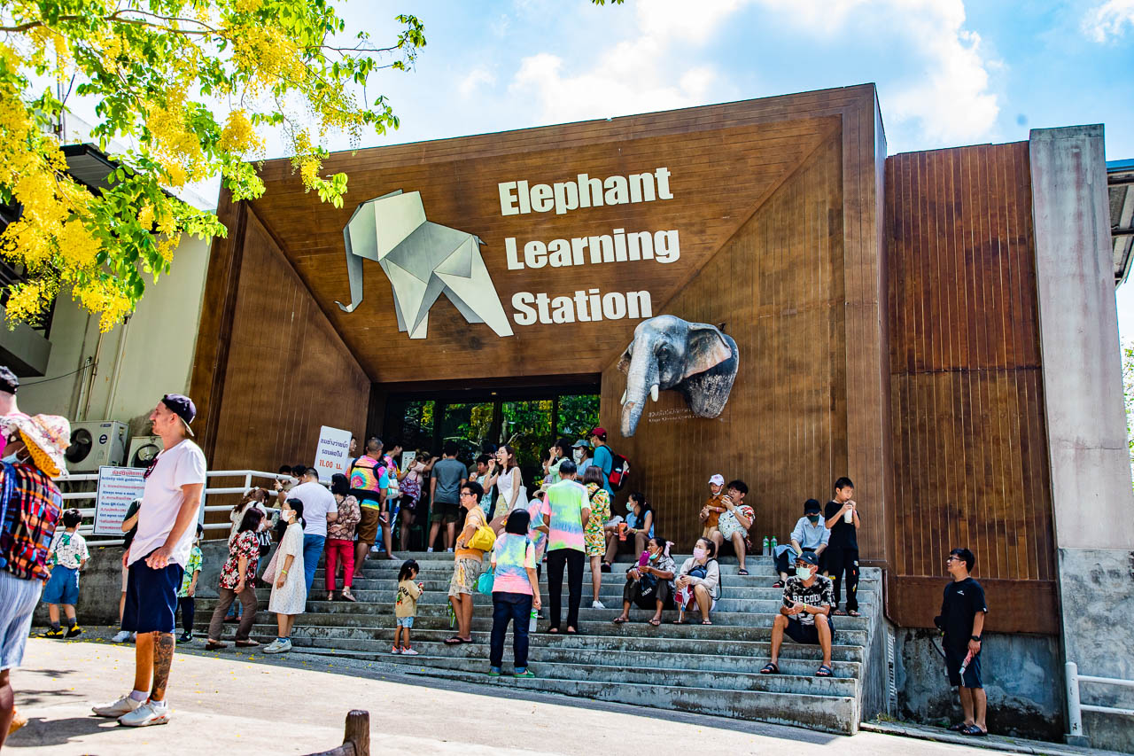 泰國野生動物園,芭達雅景點,芭達雅野生動物園,芭達雅景點綠山動物園,綠山野生動物園,泰國動物園,泰國親子景點