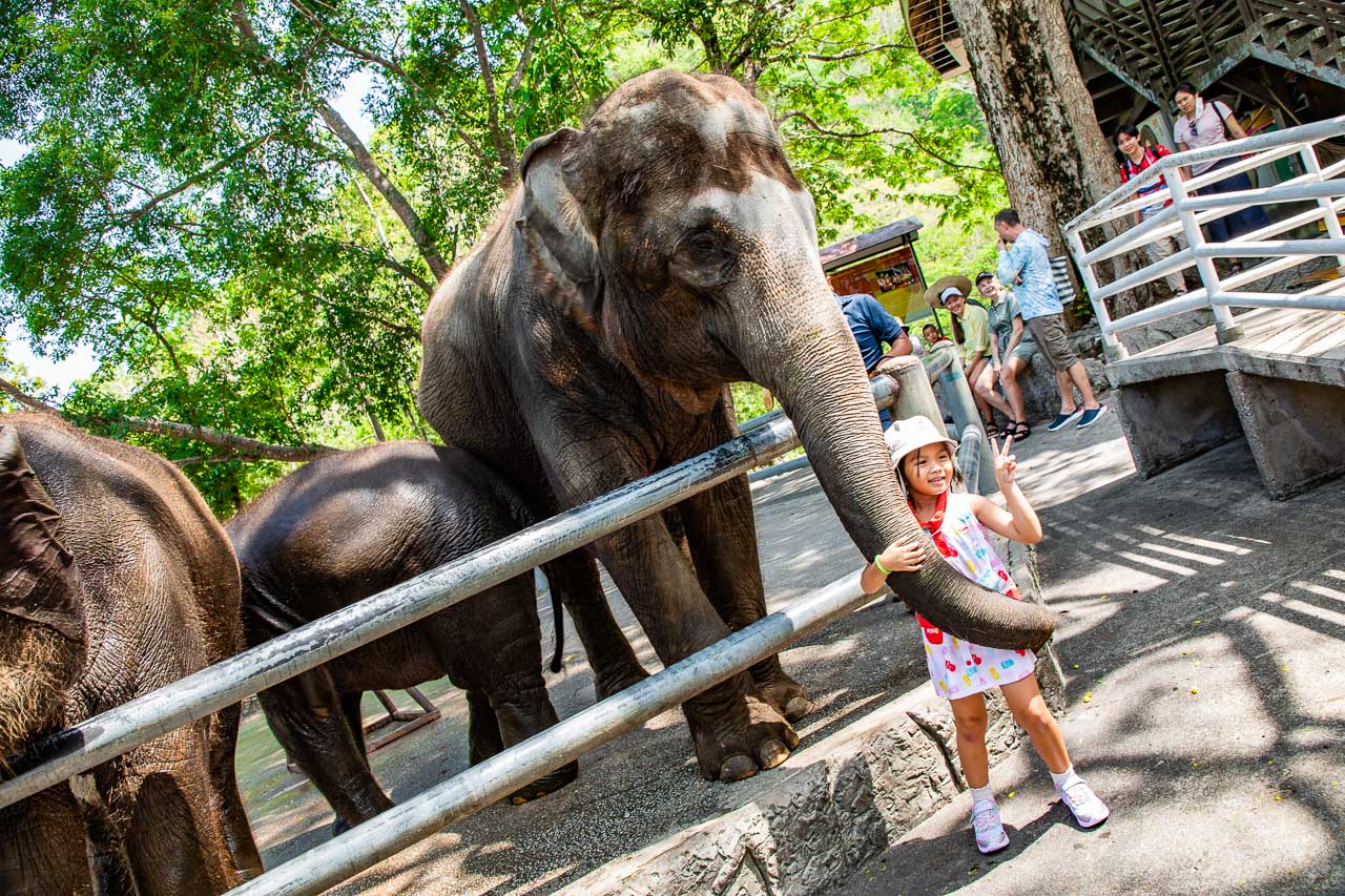 泰國野生動物園,芭達雅景點,芭達雅野生動物園,芭達雅景點綠山動物園,綠山野生動物園,泰國動物園,泰國親子景點