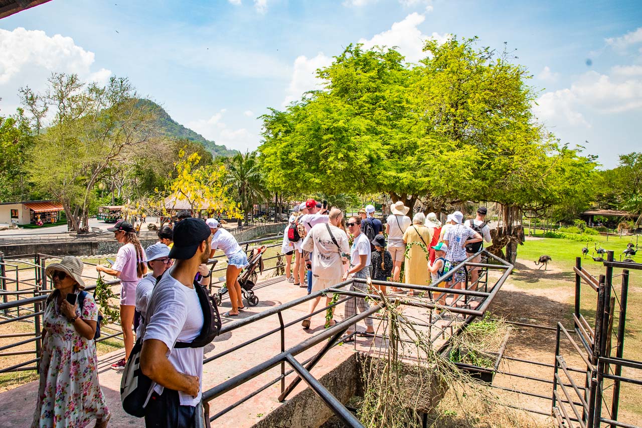泰國野生動物園,芭達雅景點,芭達雅野生動物園,芭達雅景點綠山動物園,綠山野生動物園,泰國動物園,泰國親子景點