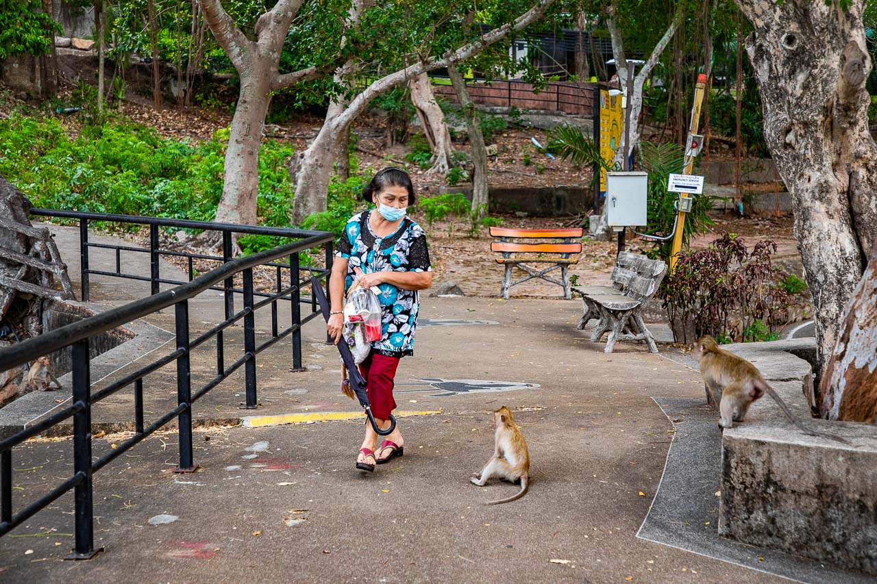 泰國野生動物園,芭達雅景點,芭達雅野生動物園,芭達雅景點綠山動物園,綠山野生動物園,泰國動物園,泰國親子景點