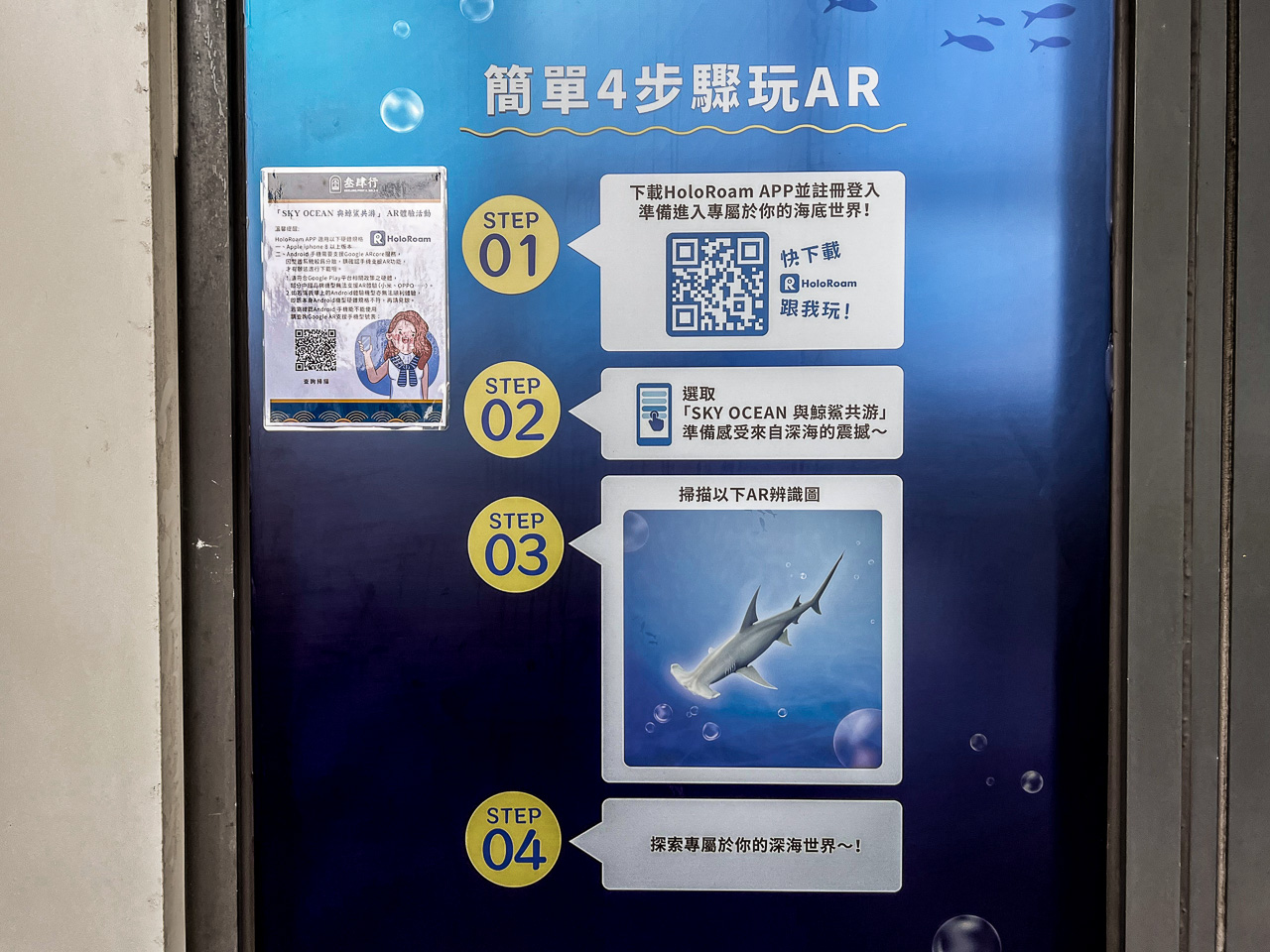 基隆景點,基隆鯨鯊,基隆東岸旅客中心,sky ocean與鯨鯊共游,基隆甲板派對市集