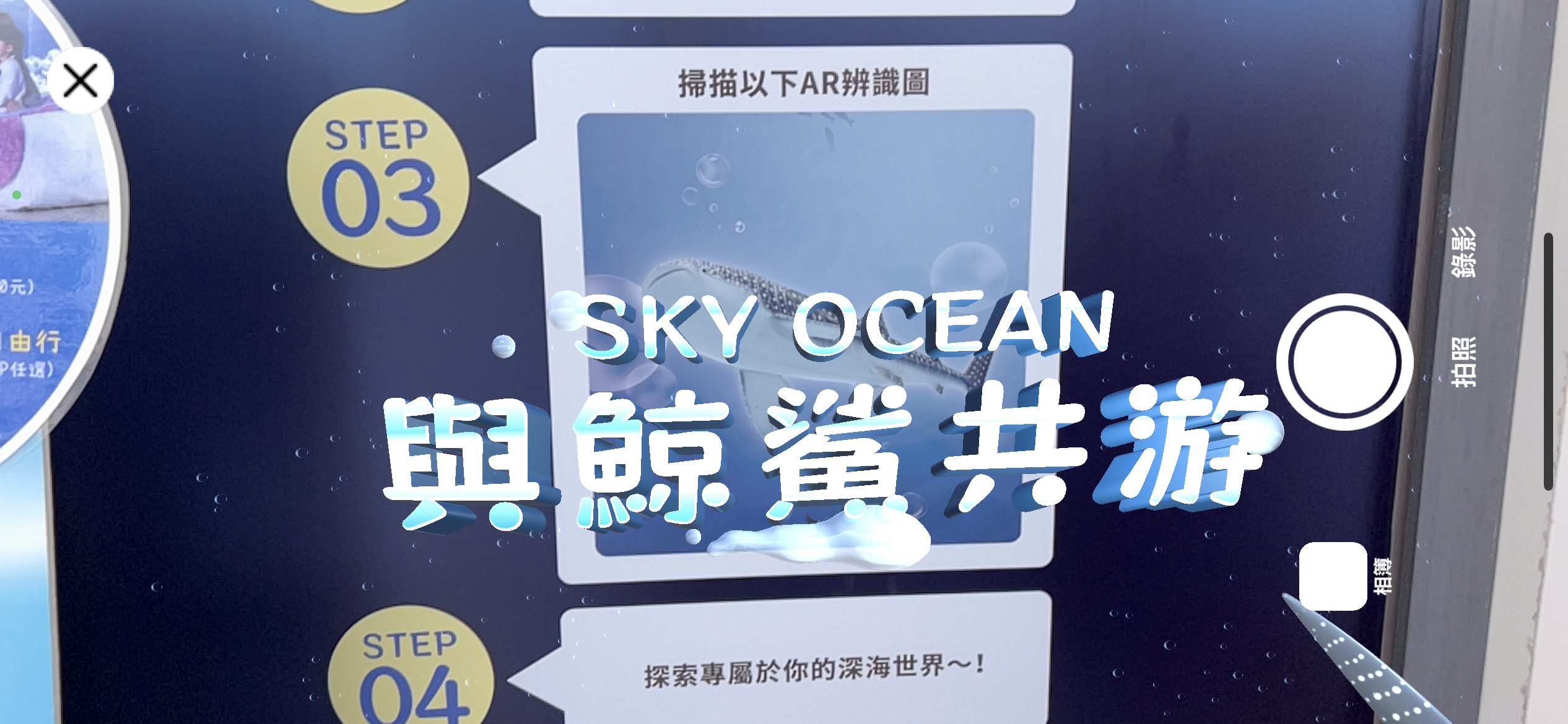 基隆景點,基隆鯨鯊,基隆東岸旅客中心,sky ocean與鯨鯊共游,基隆甲板派對市集