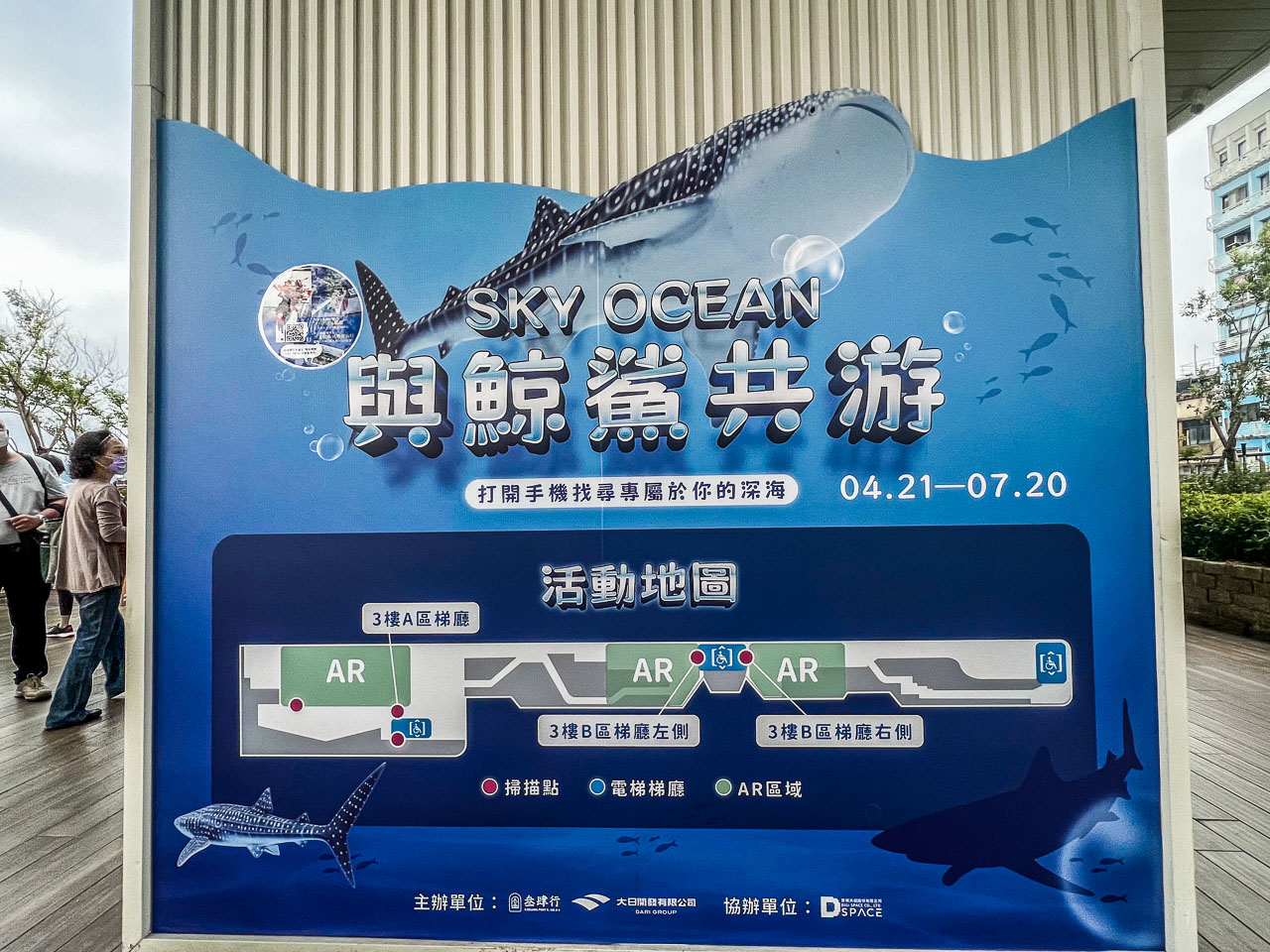 基隆景點,基隆鯨鯊,基隆東岸旅客中心,sky ocean與鯨鯊共游,基隆甲板派對市集