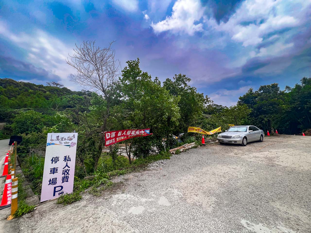 高家繡球花田,萬里繡球花,陽明山繡球花,高家繡球花田票價,高家繡球花田-萬里第三園區