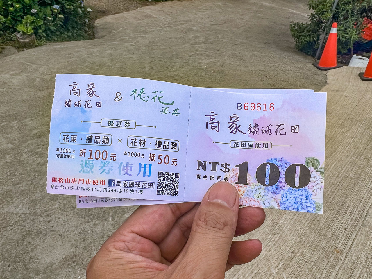 高家繡球花田,萬里繡球花,陽明山繡球花,高家繡球花田票價,高家繡球花田-萬里第三園區