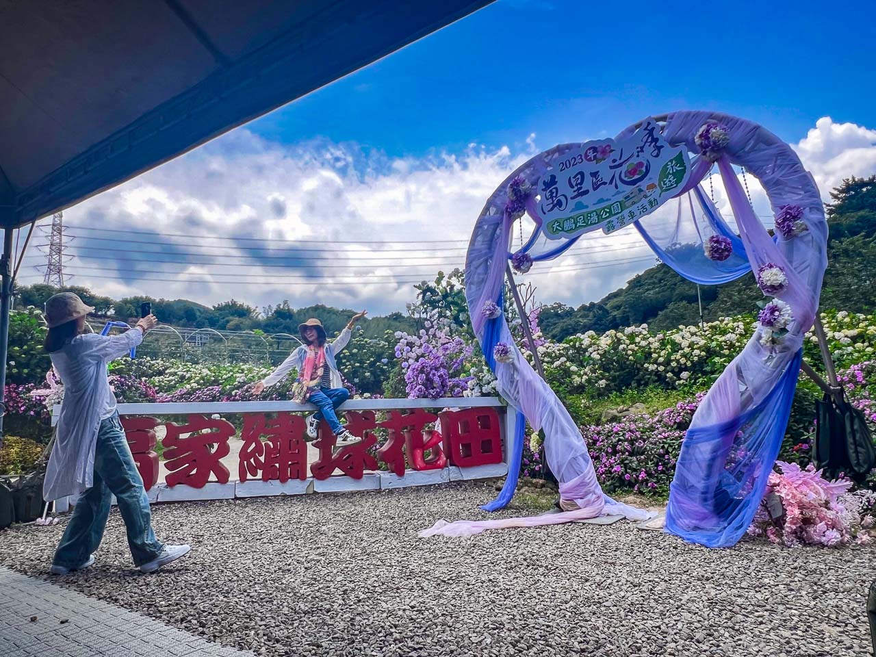 高家繡球花田,萬里繡球花,陽明山繡球花,高家繡球花田票價,高家繡球花田-萬里第三園區