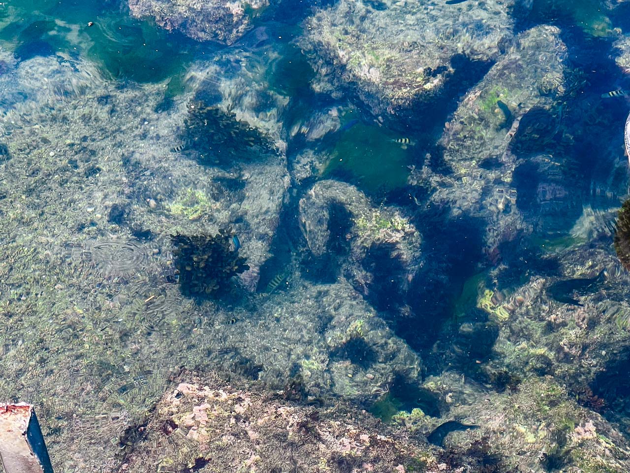 基隆玩水,外木山海興游泳池