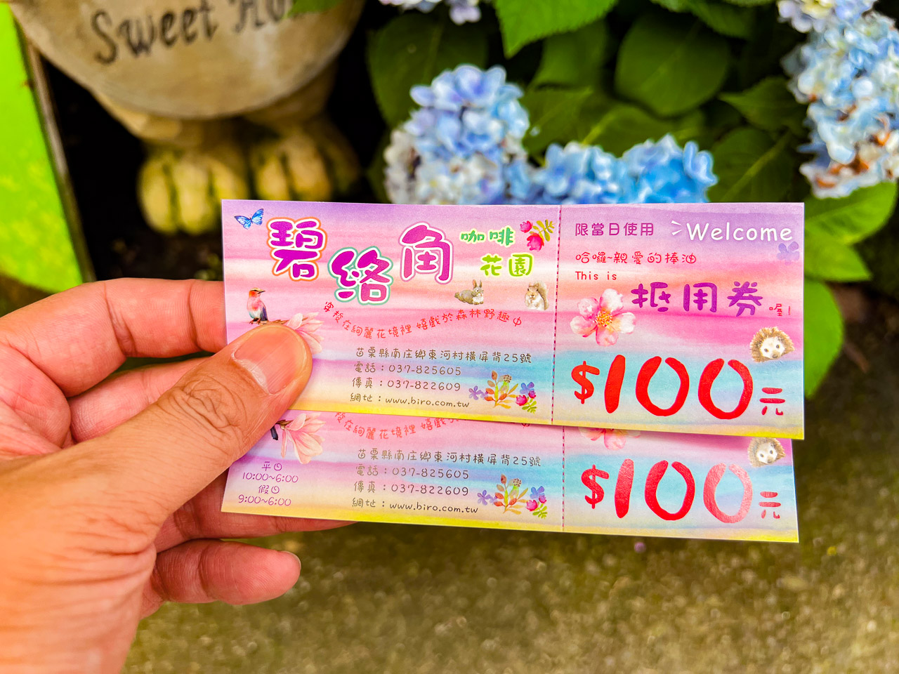 苗栗繡球花,碧絡角花園咖啡