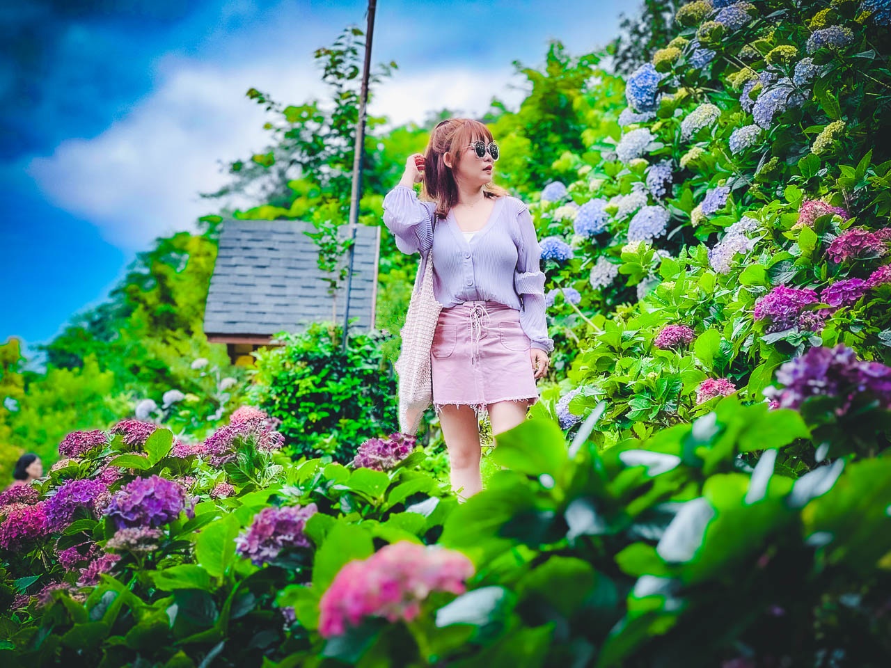 苗栗繡球花,碧絡角花園咖啡
