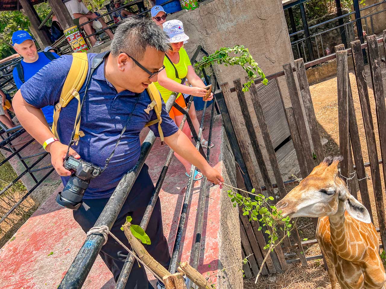 泰國野生動物園,芭達雅景點,芭達雅野生動物園,芭達雅景點綠山動物園,綠山野生動物園,泰國動物園,泰國親子景點