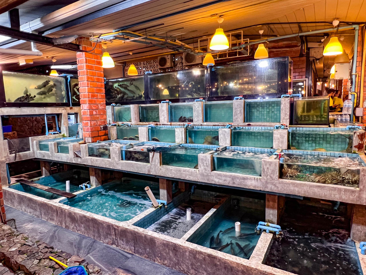 Pupen Seafood,芭達雅海鮮餐廳,泰國海鮮餐廳,泰國美食,芭達雅美食