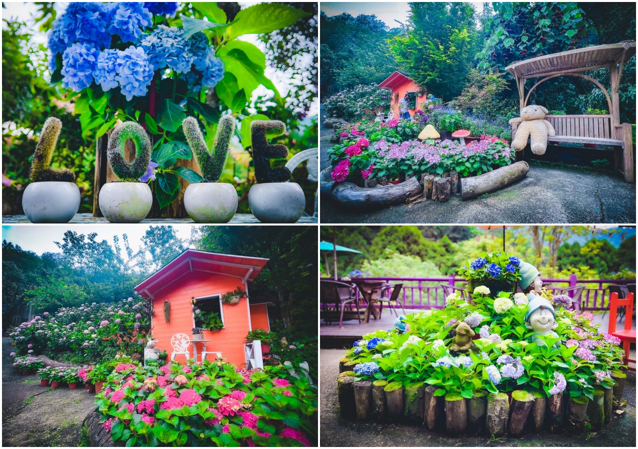 苗栗繡球花,碧絡角花園咖啡