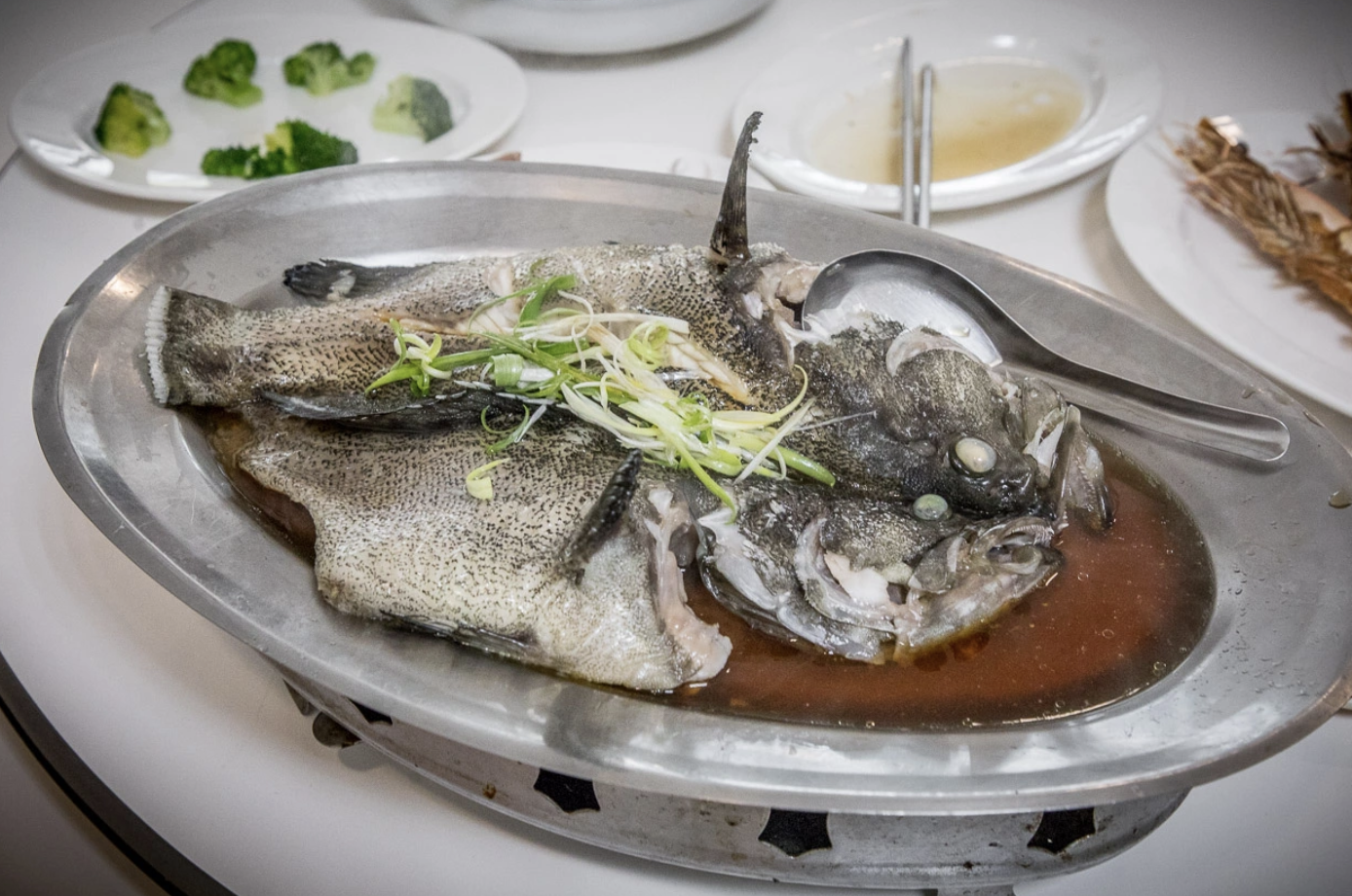 新竹無菜單料理,基隆無菜單料理,無菜單料理推薦,鐵板燒無菜單料理,日式無菜單料理,桃園無菜單料理,台北無菜單料理