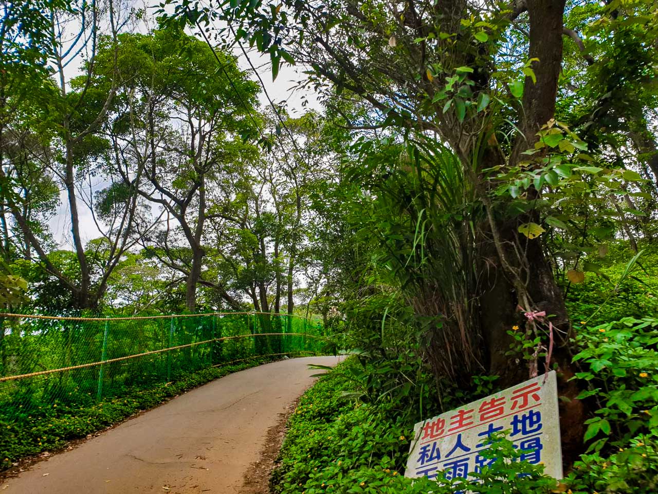 桃園咖啡廳,綠庭緣