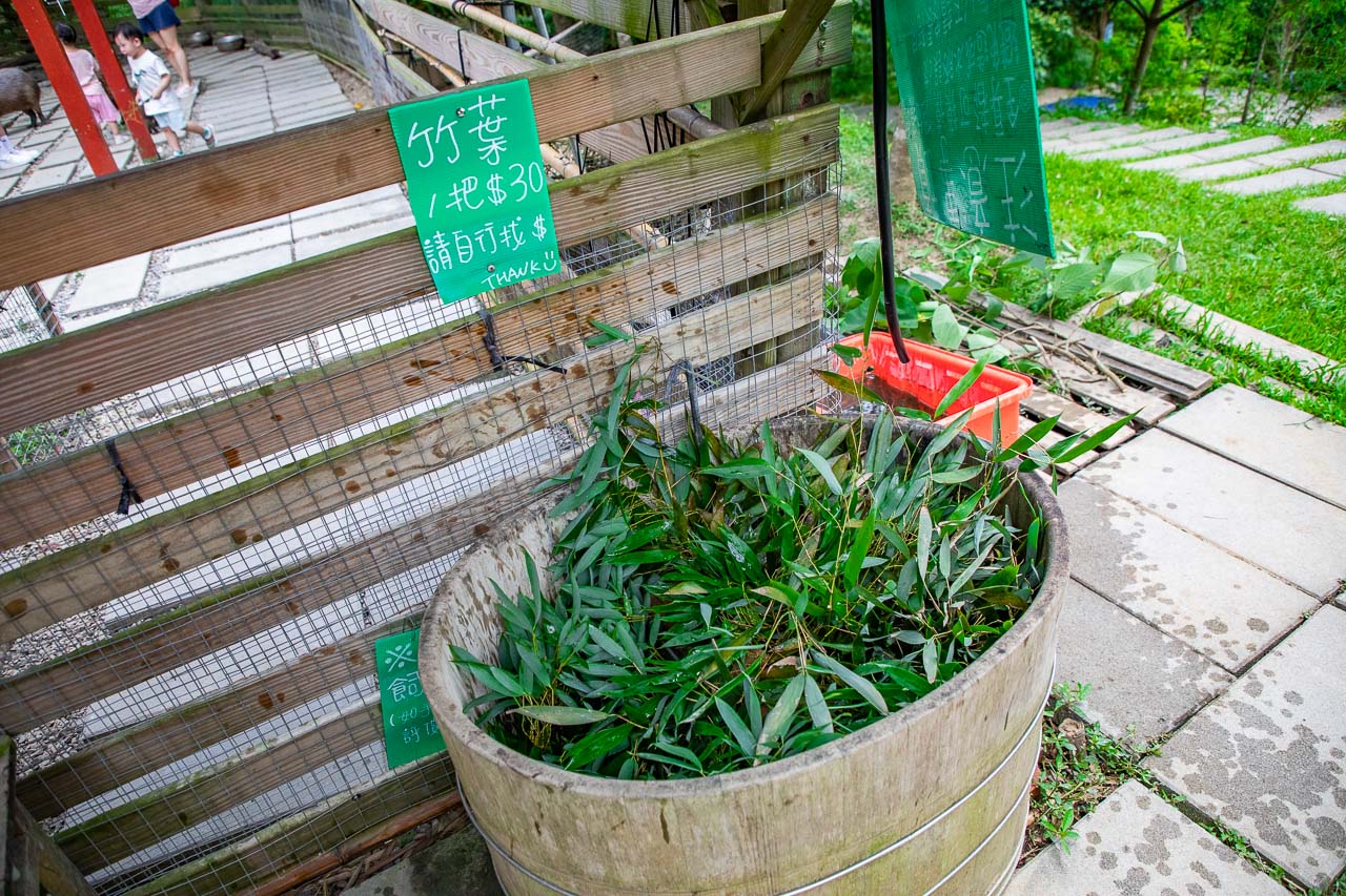 苗栗景點,哈比丘茶樹森林