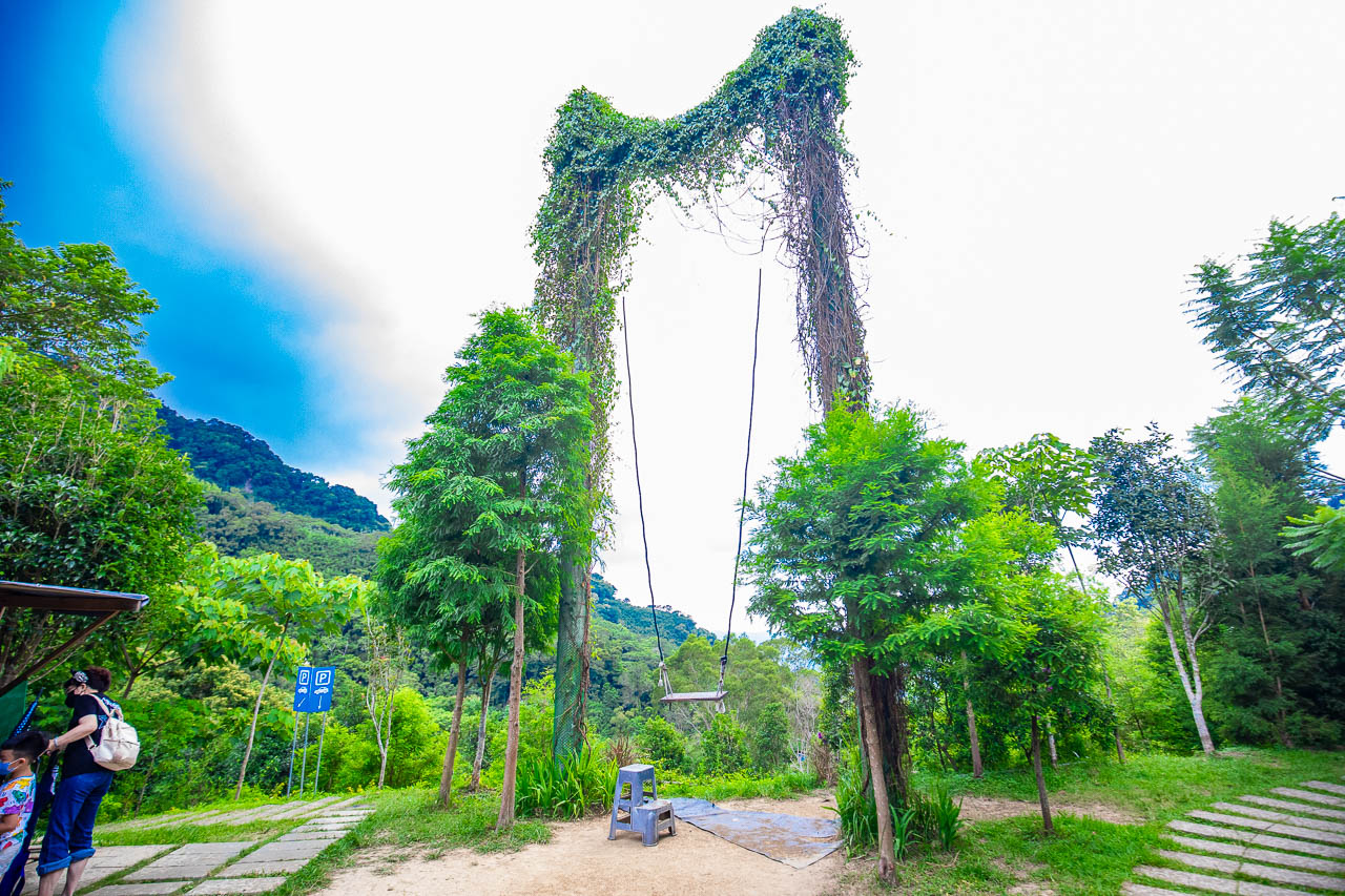 苗栗景點,哈比丘茶樹森林
