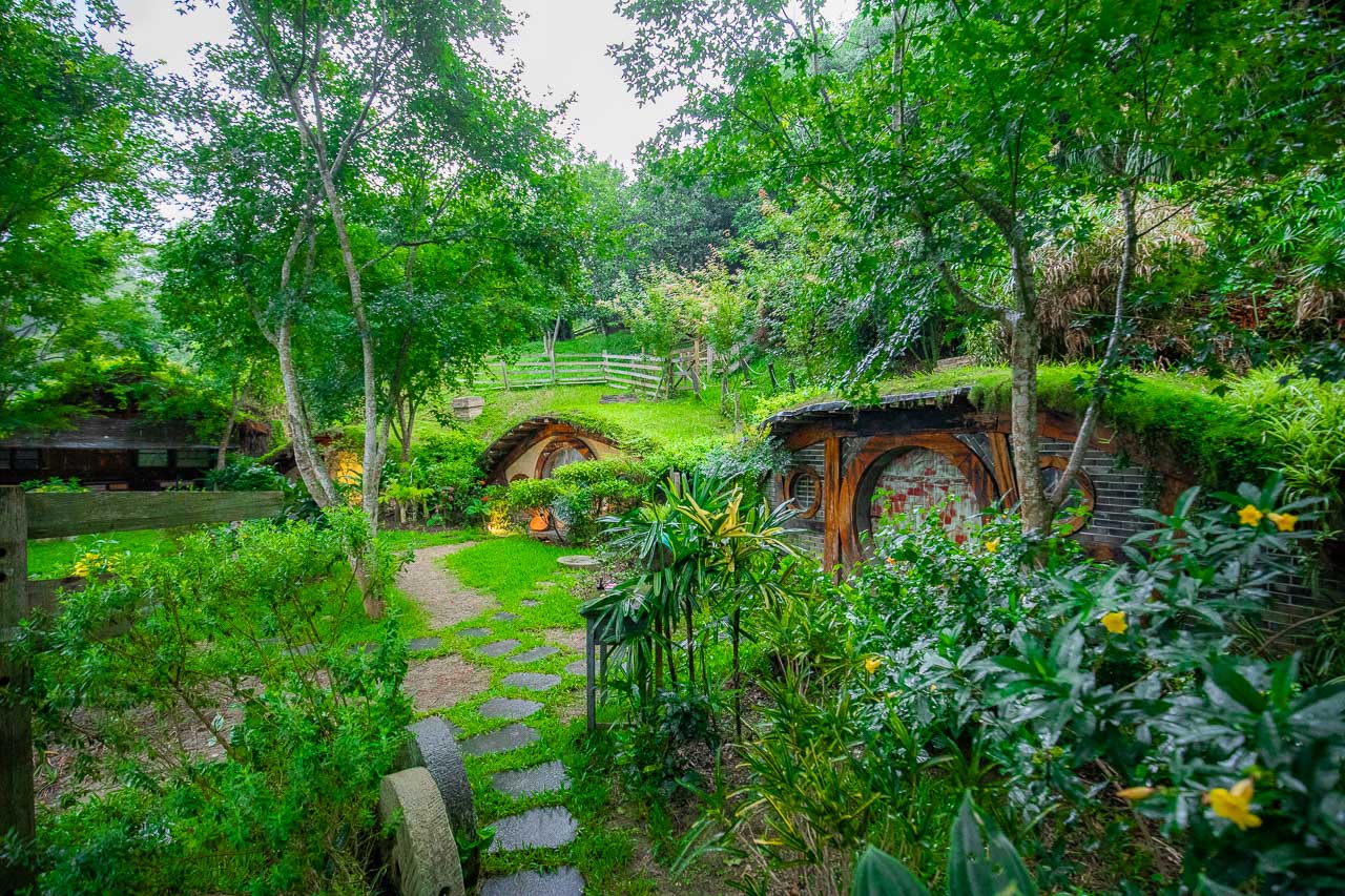 苗栗景點,哈比丘茶樹森林