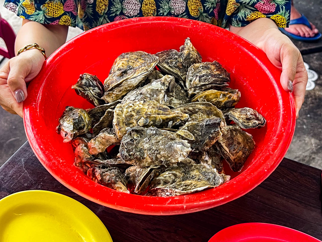 嘉義東石鮮蚵吃到飽,蠔碳嘉烤鮮蚵吃到飽