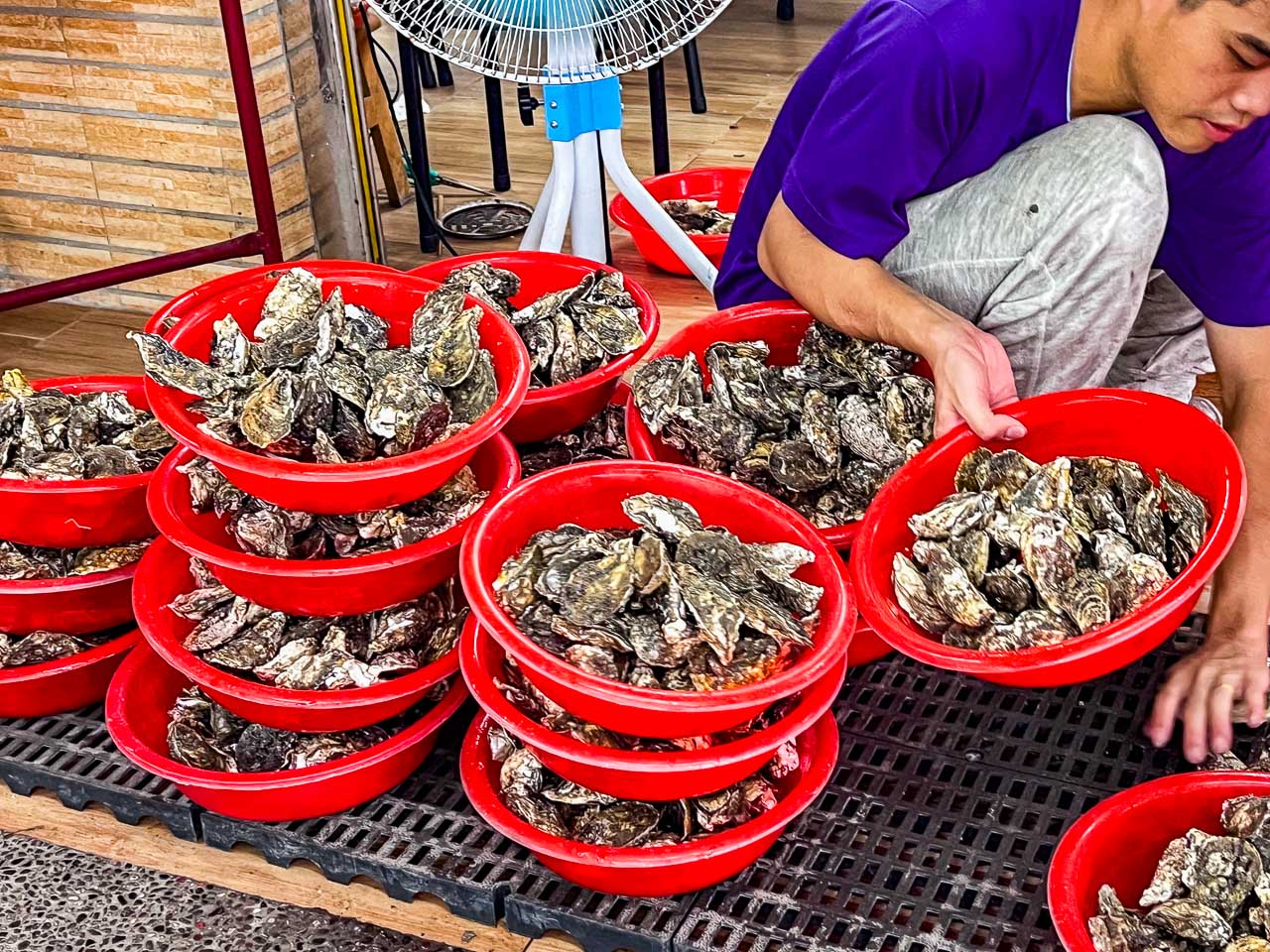 嘉義東石鮮蚵吃到飽,蠔碳嘉烤鮮蚵吃到飽