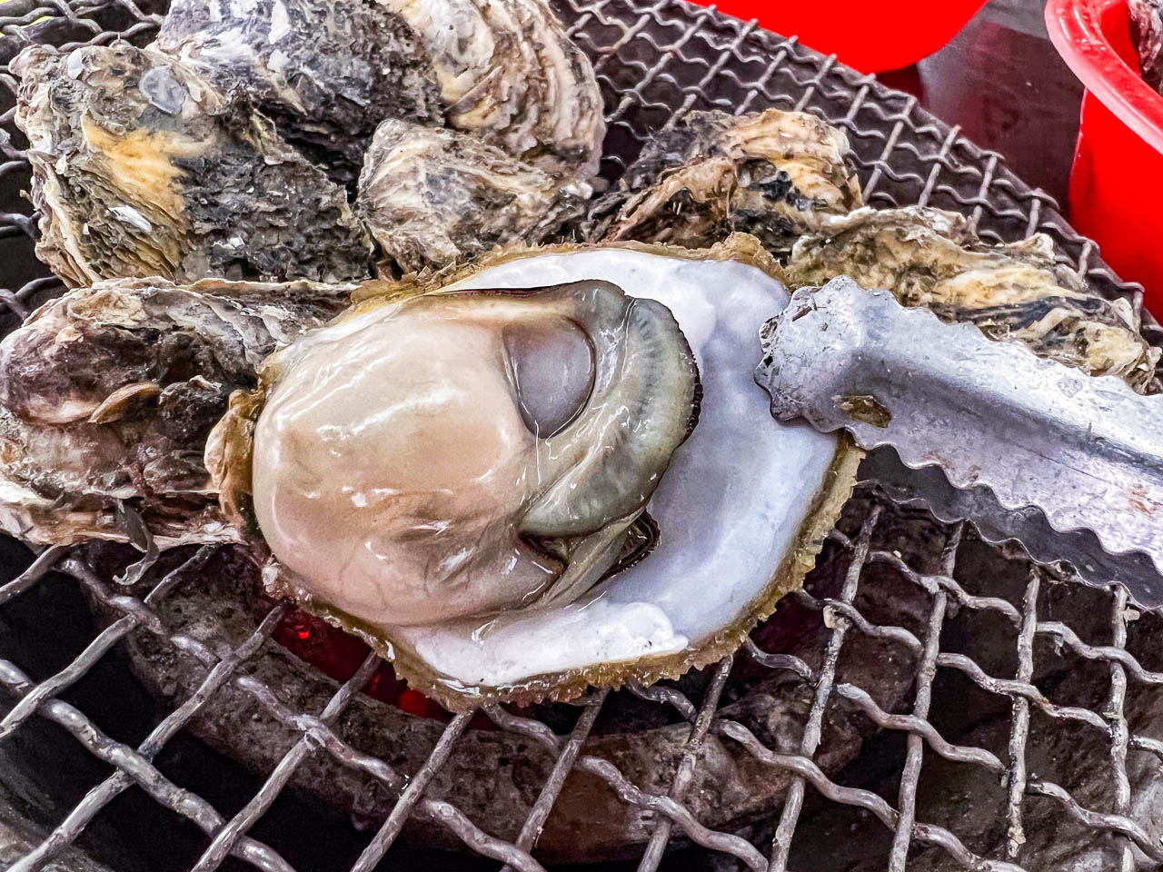 嘉義東石鮮蚵吃到飽,蠔碳嘉烤鮮蚵吃到飽