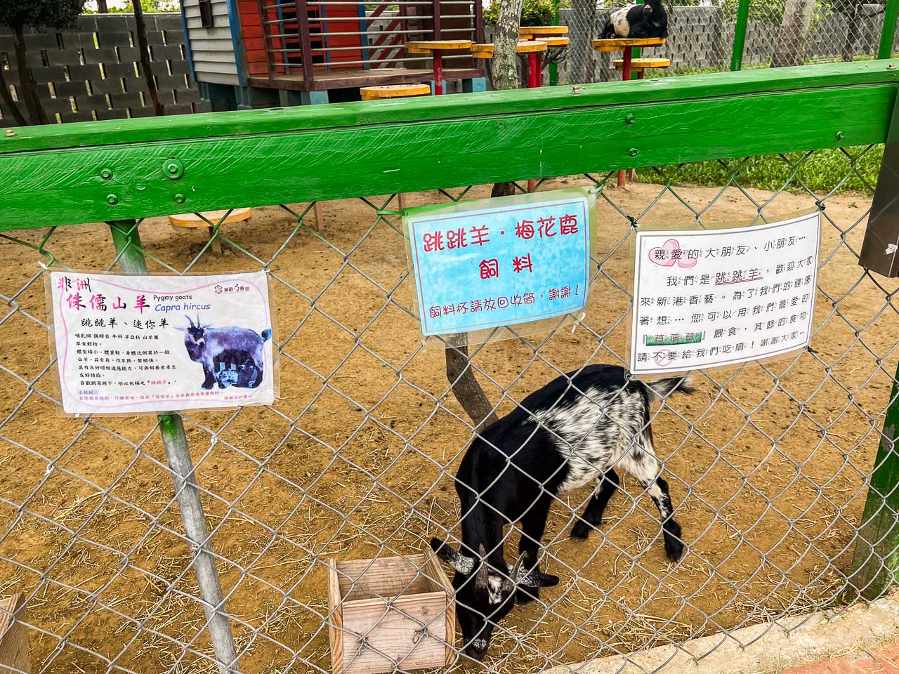 嘉義景點,新港香藝文化園區