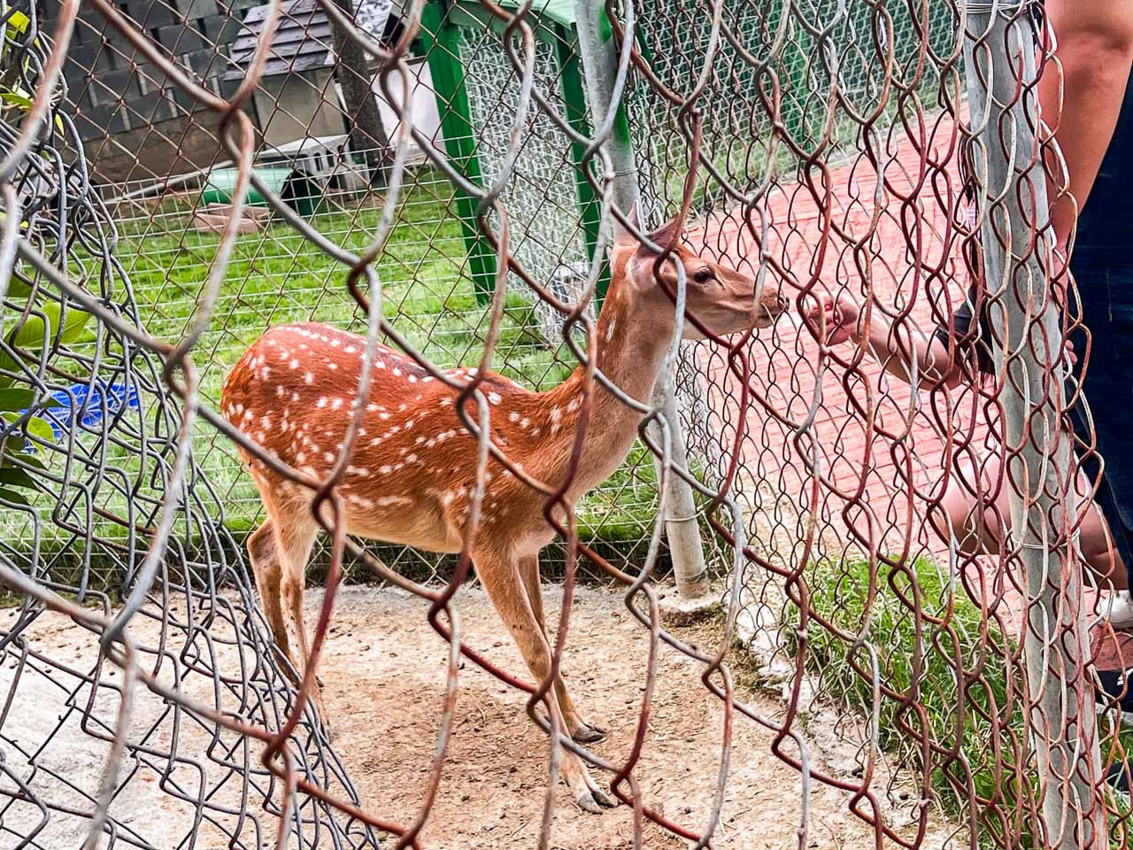 嘉義景點,新港香藝文化園區