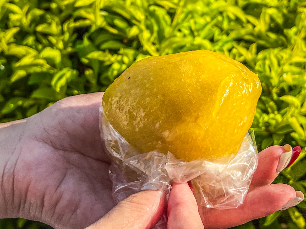 左營美食,左營地瓜菜包