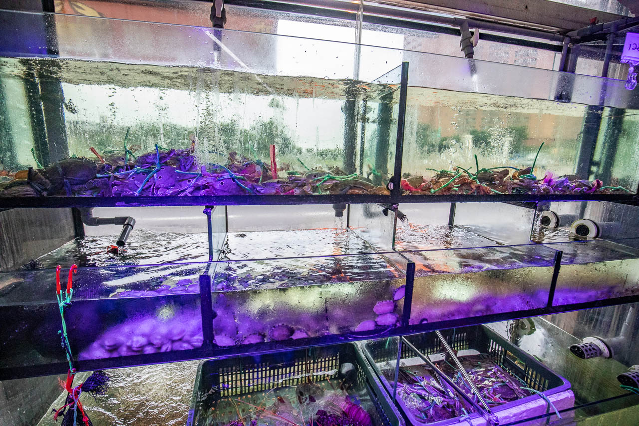 萬里蟹,大益發萬里蟹活海鮮餐廳